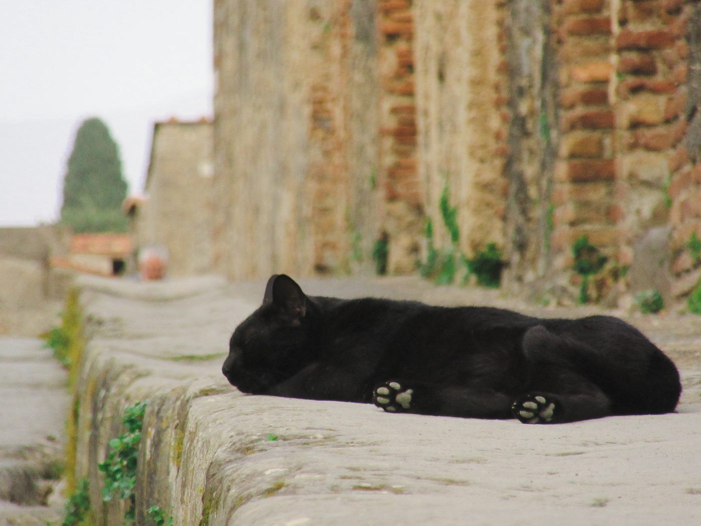 Photograph taken in Pompeii